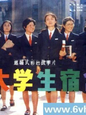 爱情试验